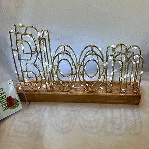 Garden 🪴 Party LED Wire Frame Light With BLOOM NWT